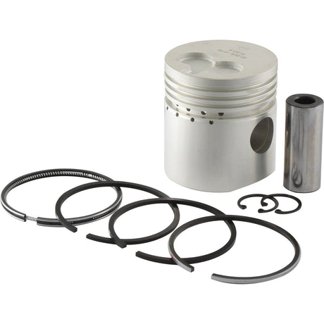 Piston And Ring Set
 - S.62172 - Farming Parts