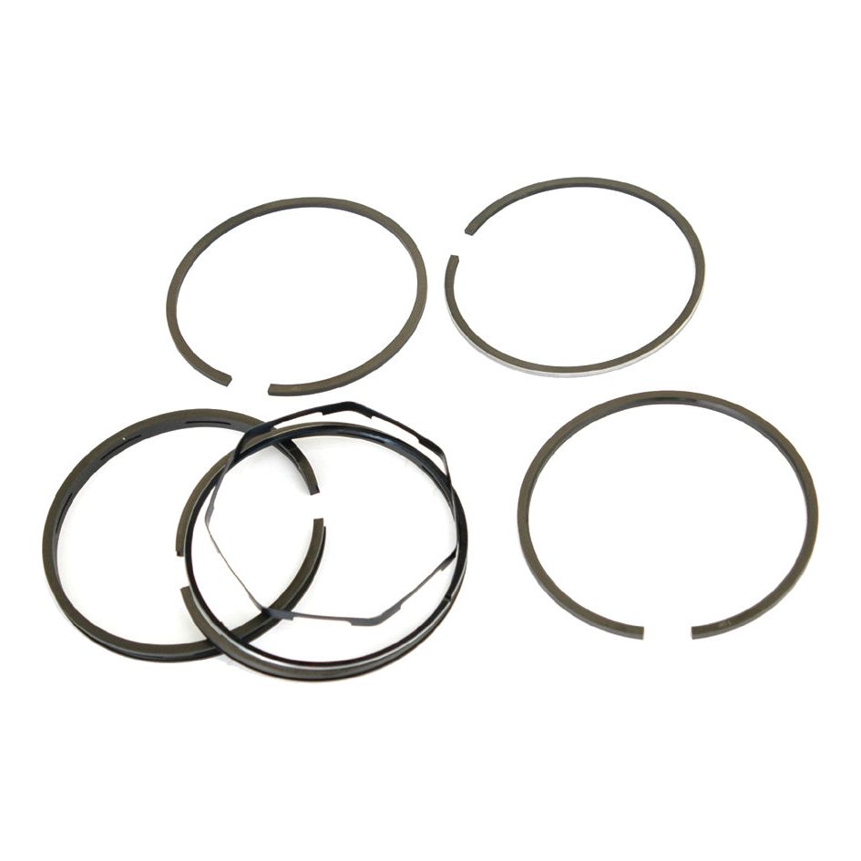 Image shows five Sparex piston rings of various sizes and designs, including a chrome-plated ring set, arranged on a white background. The displayed products include the Piston Ring | Sparex Part No. S.41323 from the renowned brand Sparex.