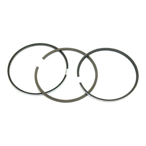 Three Sparex piston rings (Sparex Part No.S.42437) arranged in a circle on a plain white background, showcasing a high-quality ring set ideal for a Massey Ferguson petrol engine.