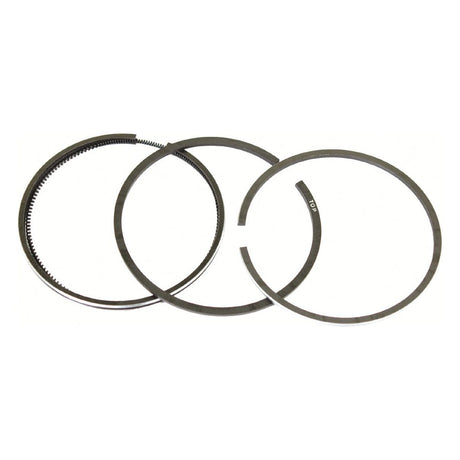 Piston Ring
 - S.62026 - Massey Tractor Parts