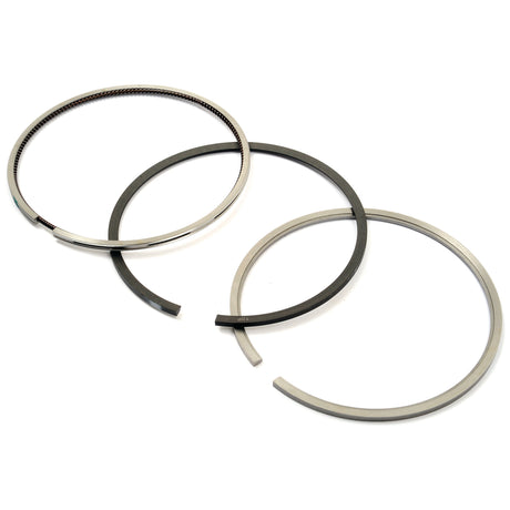 Piston Ring
 - S.67976 - Massey Tractor Parts