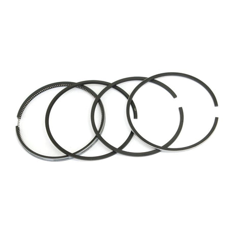 Piston Ring
 - S.75537 - Massey Tractor Parts