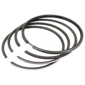 A sleek, black metal Piston Ring Std. from Sparex (Part No. S.60296) is arranged in a fan-like display against a white background, ideal for Ford/New Holland and Shibaura engines.