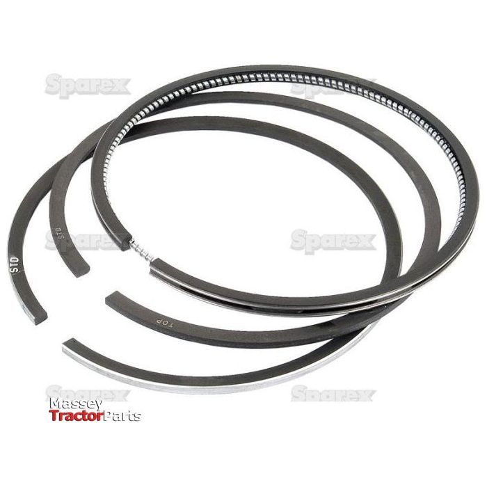 Three metal piston rings arranged in a circular layout against a white background, with the text "Massey Tractor Parts" and "Sparex" appearing faintly across the image. One of the rings from this Piston Ring Std. set (Sparex Part No. S.66526) is chrome-plated, adding a touch of durability and shine to this essential Sparex product.