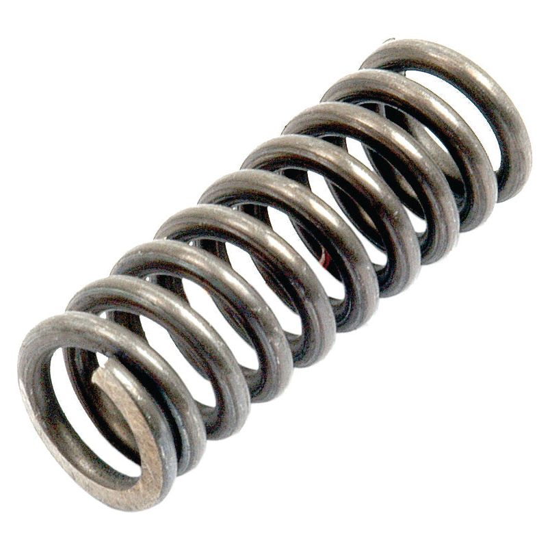 A close-up image of the Plunger Spring - Ø30mm (Sparex Part No. S.41974) by Sparex, featuring a coiled metal structure with a cylindrical shape, reminiscent of the durable components used in Massey Ferguson machinery.