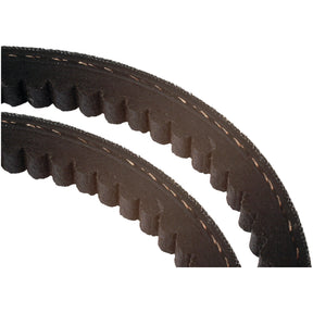 Close-up of two black Raw Edge Moulded Cogged Belts, Sparex Part No. S.25572 (Set of 2), with visible texture and stitching details.
