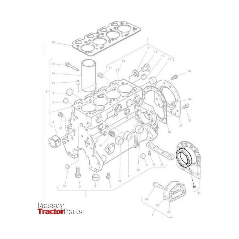 Massey Ferguson Rear Crankshaft Oil Seal - 1447691M1 | OEM | Massey Ferguson parts | Seals-Massey Ferguson-Block Components,Crankshaft Seals,Engine & Filters,Engine Parts,Farming Parts,Tractor Parts