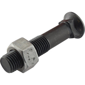 A Sparex Round Countersunk Square Hex Bolt & Nut (TFCC), M12 x 100mm with tensile strength 8.8, featuring a nut partially screwed onto it to showcase the threads and hexagonal head, Sparex Part No.S.78737.
