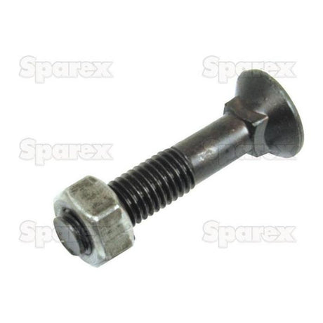 Close-up image of a Round Countersunk Square Hex Bolt & Nut (TFCC) - M14 x 50mm, showcasing the tensile strength 8.8. The background features a faint repeating text pattern that says "Sparex.
