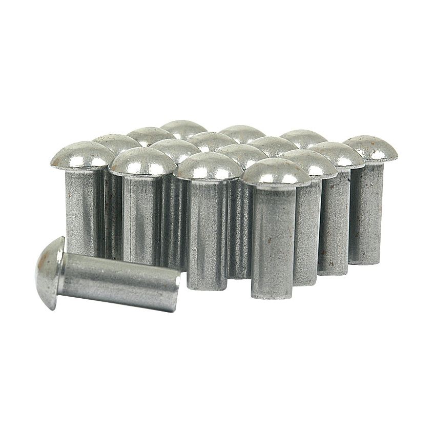 A group of Roundhead Rivet M6.0 x 16mm (1/2 kg) from Sparex (Part No.S.78509), adhering to DIN Standard, are arranged closely together, with one rivet placed in front at an angle.