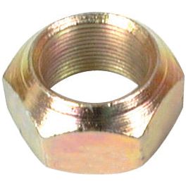 Close-up image of a metallic Loader Tine Nut M28, with a conical internal threaded hole, specifically designed for securing bolts and screws. This nut, branded as Sparex and identified with the Sparex Part No.S.77030, is compatible with the 201200 fitting.