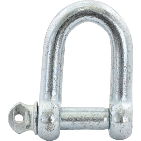Screw Type D Shackle, Pin⌀25.4mm x 50mm Jaw Width ( )
 - S.4666 - Farming Parts