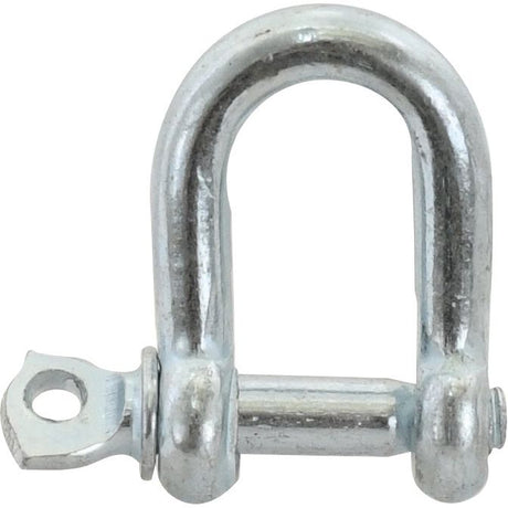 Screw Type D Shackle, Pin⌀5mm x 11mm Jaw Width ( )
 - S.2763 - Farming Parts