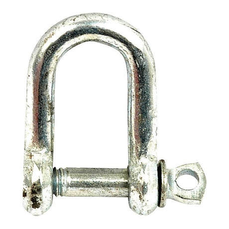 Screw Type D Shackle, Pin⌀6mm x 12mm Jaw Width ( )
 - S.2764 - Farming Parts