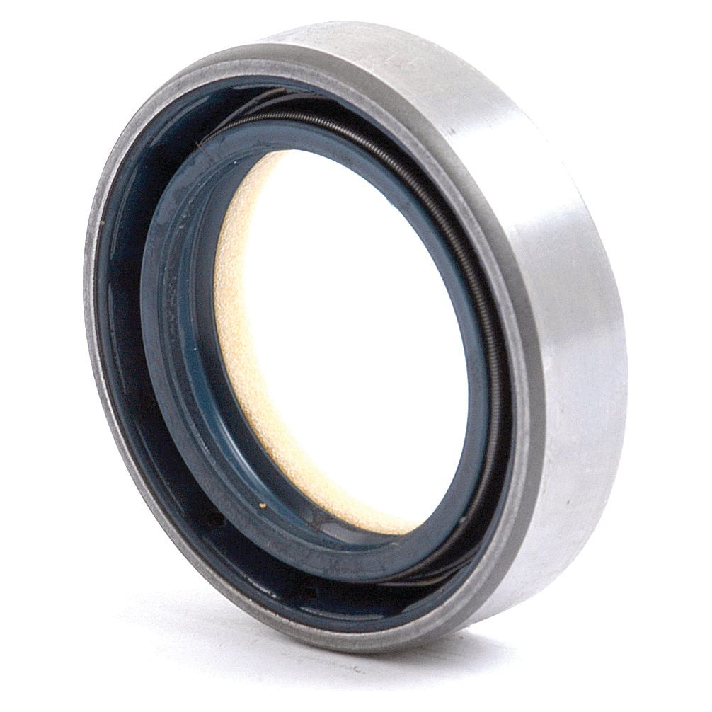 A close-up of the Seal - 4WD (Sparex Part No.S.59587) from Sparex, showcasing its circular configuration with a metallic outer ring and a striking blue inner ring. The seal stands upright against a plain white background, resembling components typically seen in Case IH machinery.