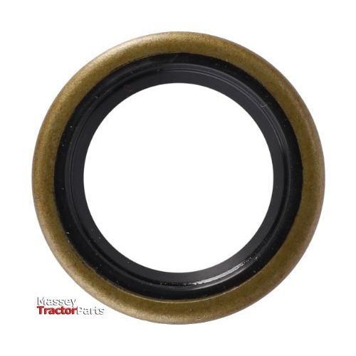 Seal Control Shaft - 3790170M1 - Massey Tractor Parts