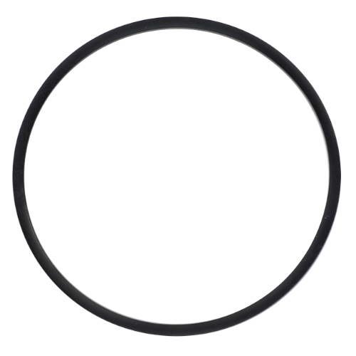 Seal Filter - 3903195M1 - Massey Tractor Parts