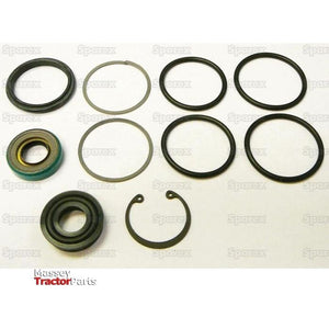Seal Kit, Power Steering Cylinder
 - S.60666 - Massey Tractor Parts