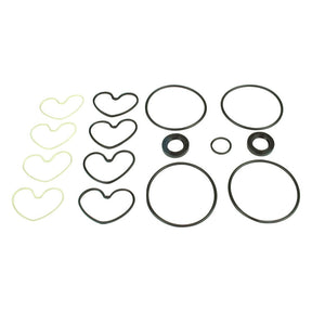 A variety of Sparex hydraulic pump seal kits, including rubber O-rings and heart-shaped gaskets perfect for Massey Ferguson machinery, are meticulously arranged in rows on a white background.