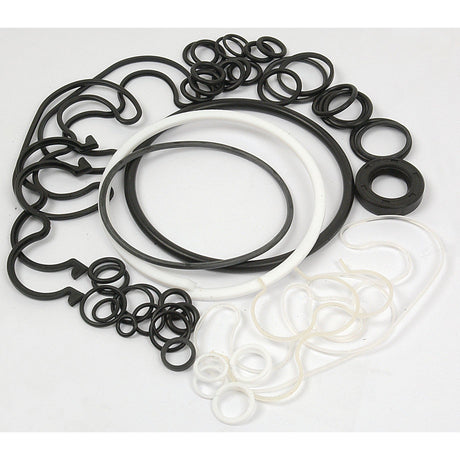Seal Kit
 - S.65420 - Massey Tractor Parts