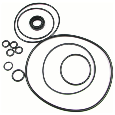 Seal Kit
 - S.65664 - Massey Tractor Parts