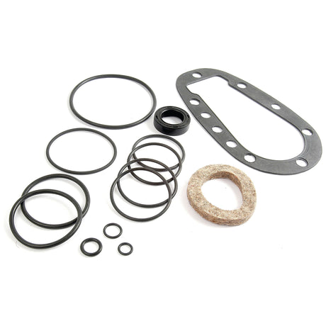 The Seal Kit (Power Steering Gear Assembly) | Sparex Part No.S.66376, including assorted rubber and fiber gaskets, O-rings, and seals for Ford / New Holland Power Steering Gear Assemblies, are arranged in a clustered layout on a white surface.