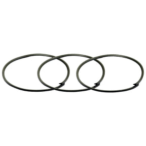 Three metal piston rings from the Seal Kit (Sparex Part No. S.67432) arranged in a row on a white background, perfect for use in Fiat tractors.