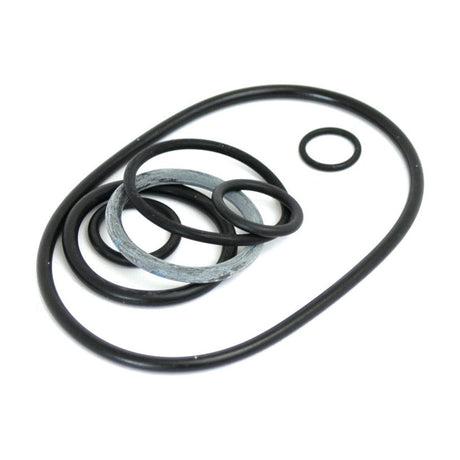 Seal Kit
 - S.8384 - Massey Tractor Parts