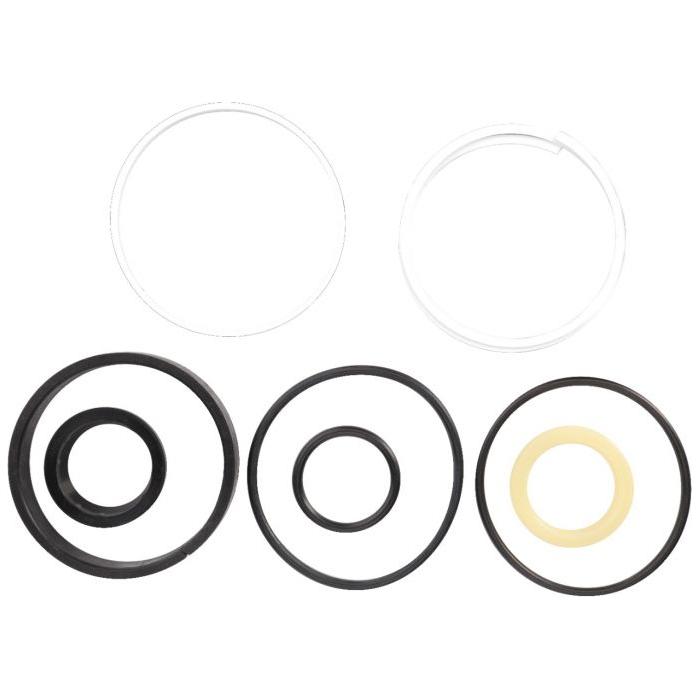 Seal Kit - Steering Cylinder - 1606890M91 - Massey Tractor Parts