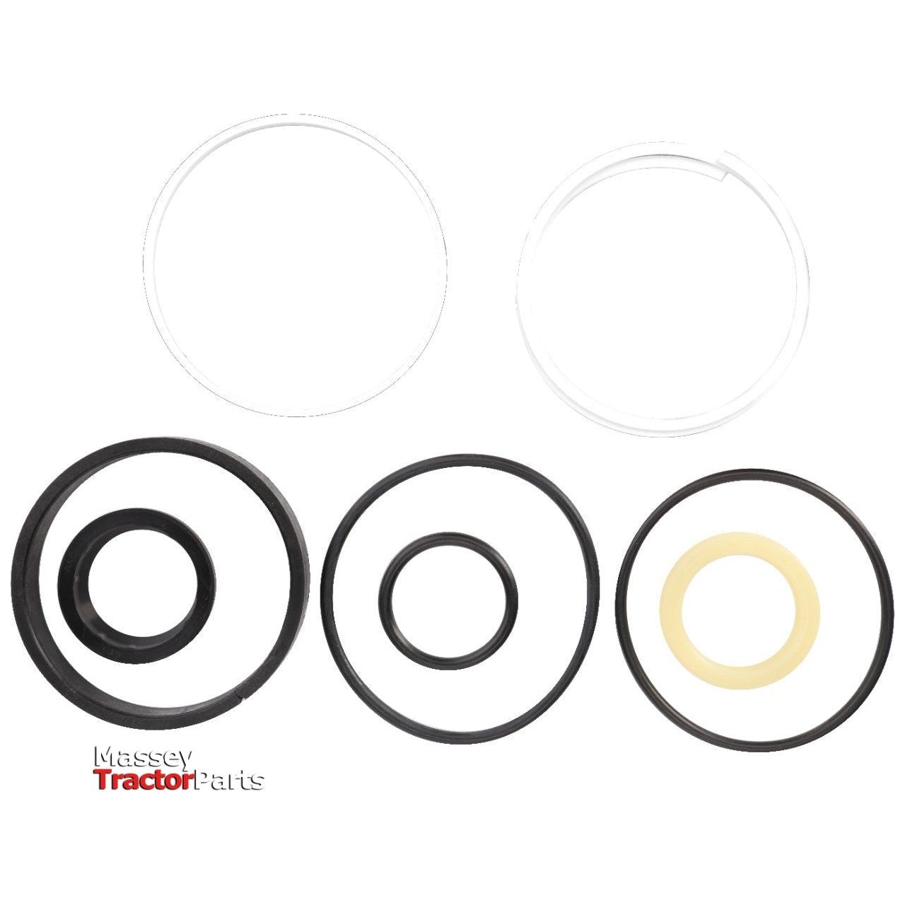 Seal Kit - Steering Cylinder - 1606890M91 - Massey Tractor Parts