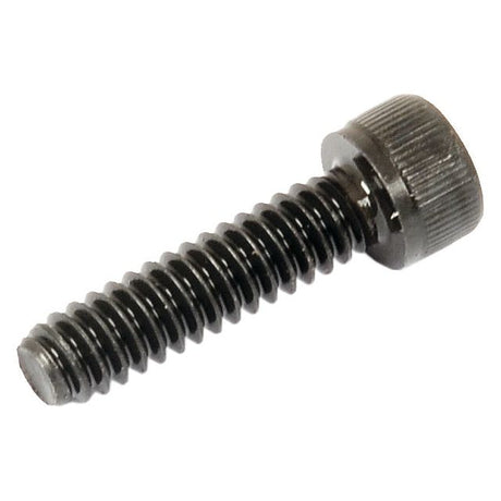 Socket Capscrew, Size: 3/16'' x 3/4'' UNC (BS 2470) - S.11667 - Farming Parts