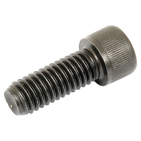 Socket Capscrew, Size: 3/8'' x 1'' UNC (BS 2470) - S.11677 - Farming Parts