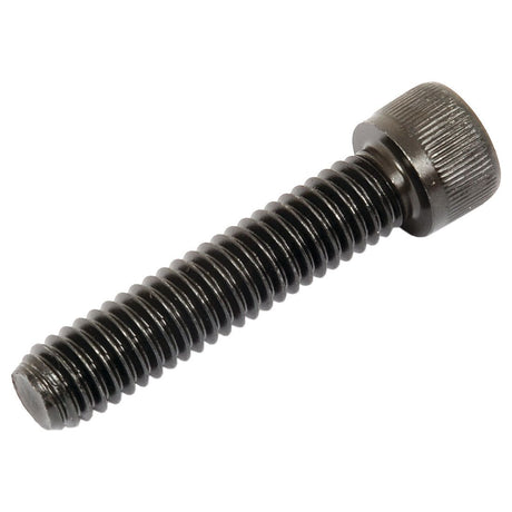 Socket Capscrew, Size: 5/16'' x 1 1/2'' UNC (BS 2470) - S.11673 - Farming Parts
