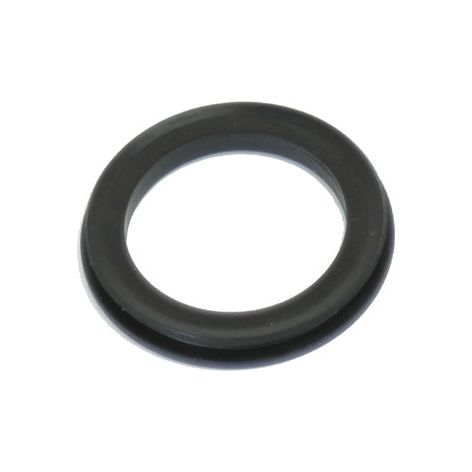 A Sparex Spindle Seal, compatible with Ford/New Holland, isolated on a white background.
