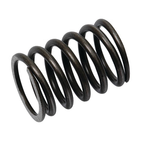A close-up image of the Spring Valve (Sparex Part No. S.61906), a black metal compression spring with evenly spaced coils, perfect for Massey Ferguson machinery and available through Sparex.