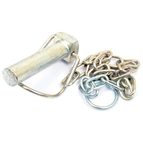 A Sparex Stabiliser Pin (Pin Ø19mm x 73mm, Sparex Part No.S.28606) is attached to a length of chain with a circular ring at one end, all components appearing to be made of steel.