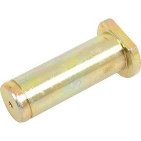 A cylindrical metal pin with a flat end and a rounded end lies on a white background. The Sparex Steering Cylinder Outer Pin (4WD), Sparex Part No.S.57018, features a reflective surface with a yellowish tint, hinting at its robustness for 4WD applications.