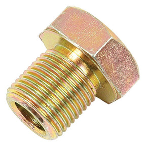 Close-up of a Sump Plug, Sparex Part No. S.40530, made of metal with a threaded body and hexagonal head. This Sparex plug, commonly used as a sump plug in Perkins Build engines, boasts a shiny, metallic finish.