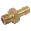 The Sparex Hose Connector - External Thread 1/4'' - S.55179 features a brass hose barb fitting with a BSP thread on one end and an 8mm ribbed hose connection on the other, designed for connecting a hose to a threaded pipe.
