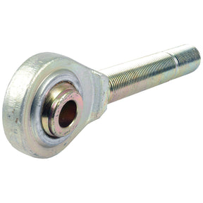 The Sparex Top Link Ball End - M36x3 Metric - Cat.2 (Sparex Part No. S.16847) is a metal rod end bearing featuring a threaded shaft and circular eyelet with an overall length of 304mm, used in mechanical applications to connect and allow movement between two parts.