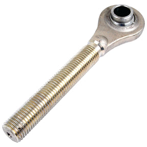 Close-up of a Top Link Ball End - 1 1/4'' UNC - Cat.2 (Sparex Part No.S.4109) by Sparex, featuring a threaded shaft and an eyelet end. This bearing is crafted for mechanical use, highlighting detailed threading, a smooth metallic finish, and precise overall length.