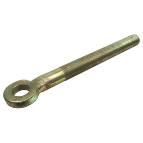 A Sparex Stabiliser Eye Bolt - 3/4'' UNC - LH (Sparex Part No.S.373) with a threaded shaft and a circular loop on one end, featuring an LH fitting for secure applications.