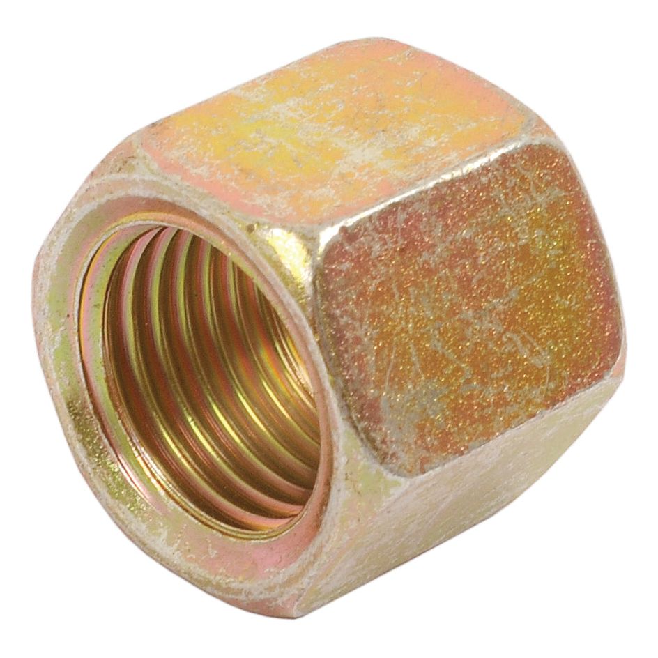 Close-up of a hexagonal **Sparex Union Nut 1/4'' BSP DN06 | Sparex Part No.S.55171** with a slightly tarnished, metallic surface and BSP thread.