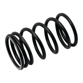 A black metal coil spring with five loops, designed for use as a valve spring in mechanical applications to provide compression or tension. This is the Valve Spring - Outer by Sparex, Part No. S.40504.
