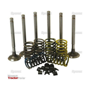 A Valve Train Kit - S.57900 from Sparex, featuring five exhaust and intake valves, an assortment of springs in various sizes, and a set of valve keepers and collets, arranged on a plain background.