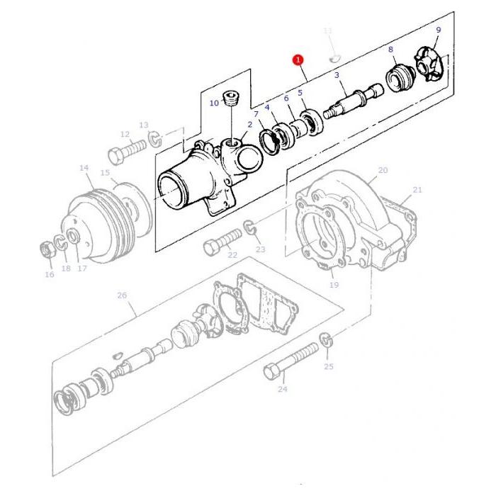 Water Pump - 3641832M91 - Massey Tractor Parts