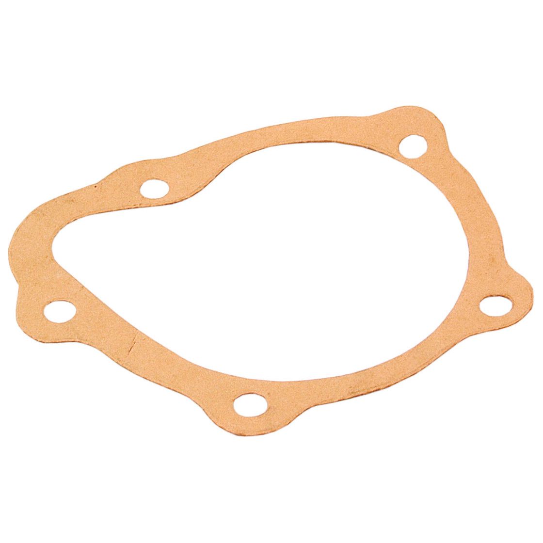 A Sparex Water Pump Assembly (Supplied with Pulley) - S.75926 features a brown, irregularly shaped gasket with four circular holes and a by-pass hole.