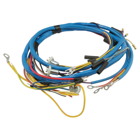 Wiring Harness
 - S.67032 - Massey Tractor Parts