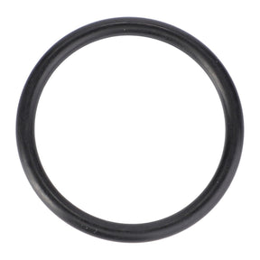 Introducing the Fendt - O-Ring, Ø 30 X 3 mm - X548886466000 by AGCO, a genuine black rubber O-ring on a white background, expertly crafted for high-performance demands.