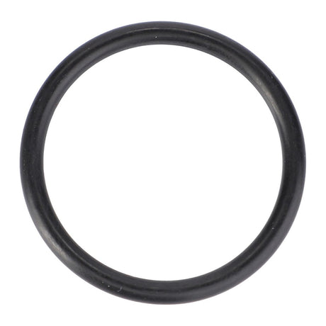 Fendt - O-Ring, Ø 30 X 3 mm - X548886466000 - Farming Parts